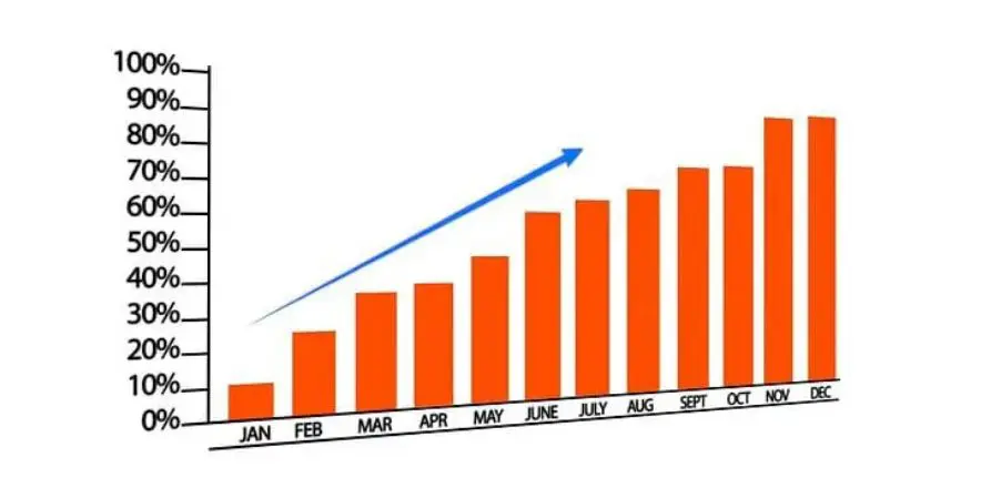 SEO Optimization