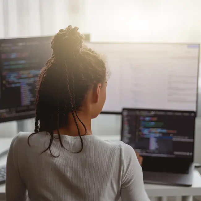 custom-web-developer custom web developer and programming